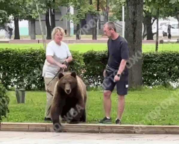 Порно впятером смотреть онлайн видео на Гигпорно