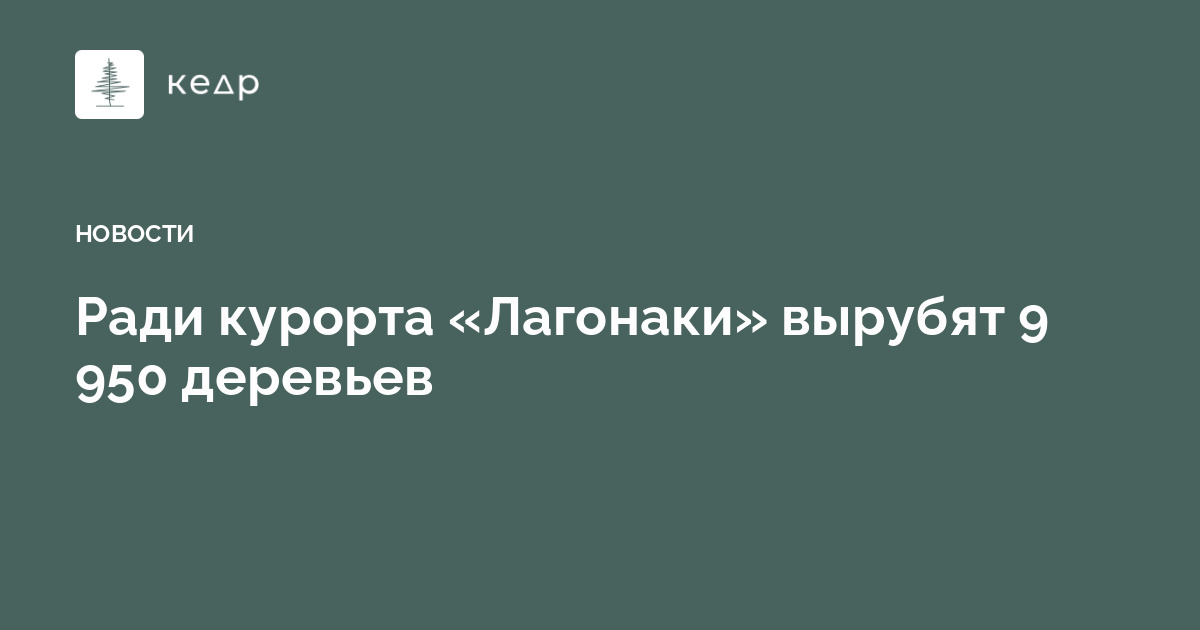 Ради курорта «Лагонаки» вырубят 9 950 деревьев