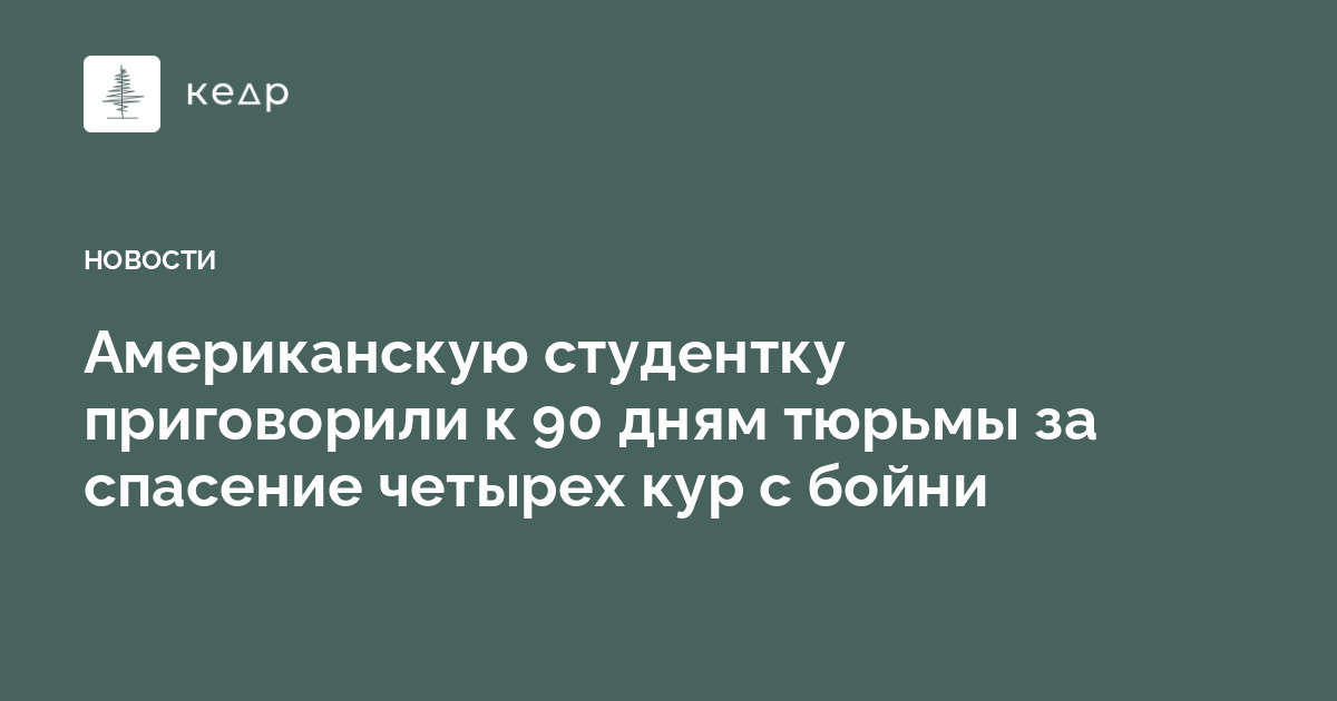 Американскую студентку приговорили к 90 дням тюрьмы за спасение четырех кур с бойни