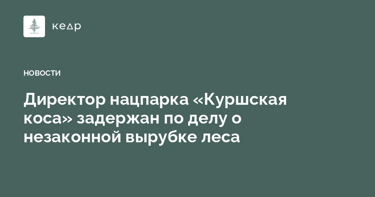 Директор нацпарка «Куршская коса» задержан по делу о незаконной вырубке леса