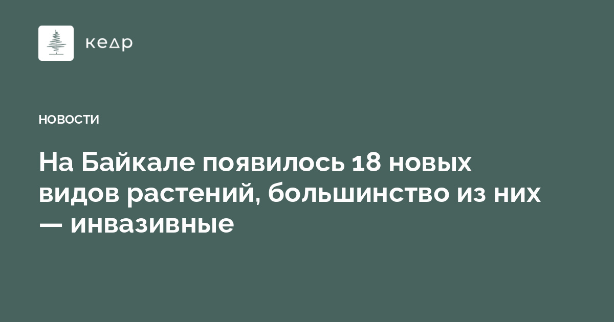 На Байкале появилось 18 новых видов растений, большинство из них — инвазивные