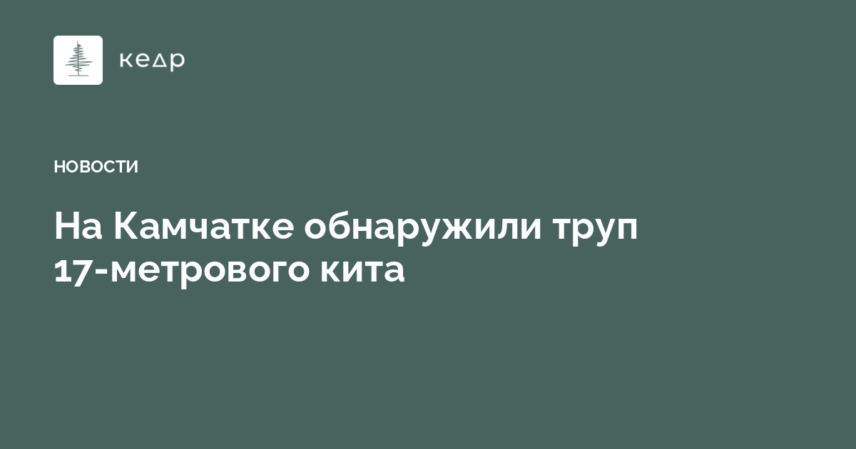 На Камчатке обнаружили труп 17-метрового кита
