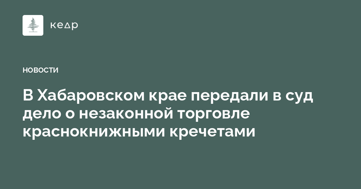 В Хабаровском крае передали в суд дело о незаконной торговле краснокнижными кречетами