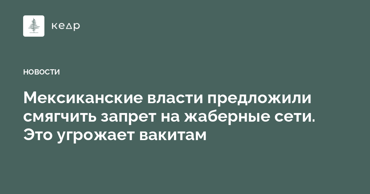 Мексиканские власти предложили смягчить запрет на жаберные сети. Это угрожает вакитам