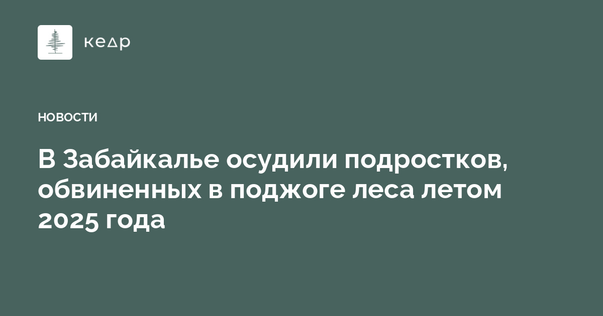 В Забайкалье осудили подростков, обвиненных в поджоге леса летом 2025 года