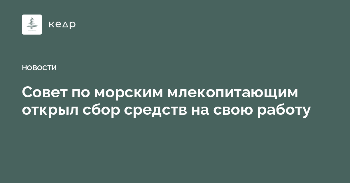Совет по морским млекопитающим открыл сбор средств на свою работу